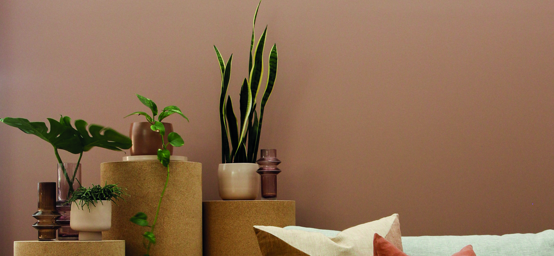 incalatex_interior_carrusel1